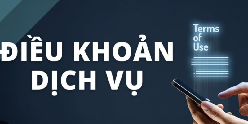 Những điều khoản liên quan đến vấn đề dừng dịch vụ