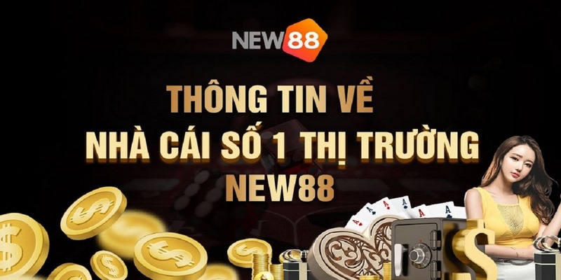 Thông tin bet thủ cần biết về nhà cái New88