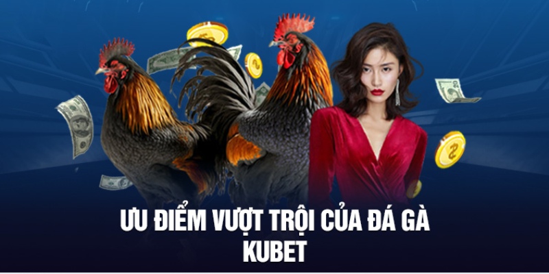 Đa dạng thể loại đá gà Kubet